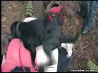 Black dog fucking a kinky girl in the middle of the woods